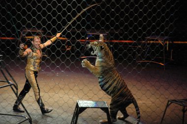 Edy williams ringling bros. sirkte