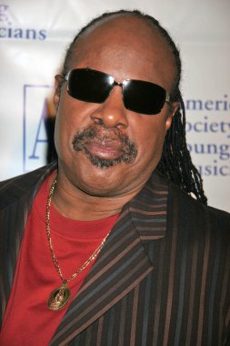 Stevie Wonder