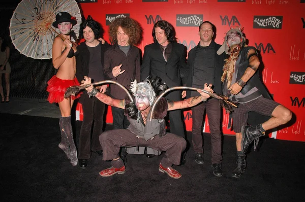 Wes Borland et son groupe — Photo