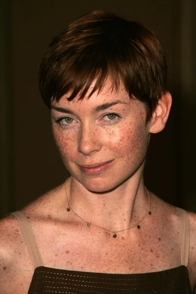 Julianne Nicholson — Stock fotografie