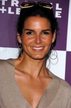 Angie harmon