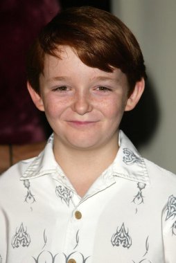 Hollywood radyo ve televizyon toplumun sunar 