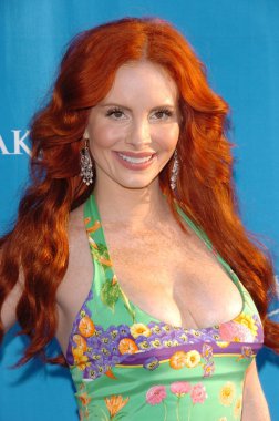 Phoebe fiyatı