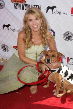 Dog.com tarafından sunulan 5 yıllık bowwowween fayda