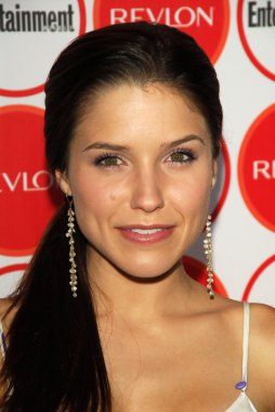 Sophia bush