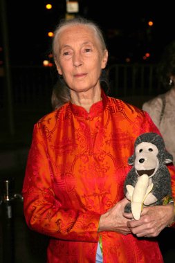 jules verne macera film festivali açılış gecesi gala