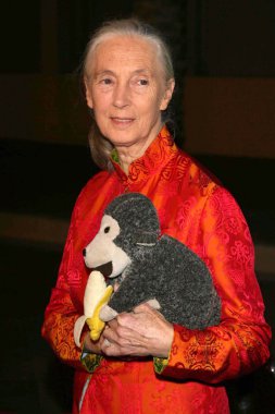 jules verne macera film festivali açılış gecesi gala