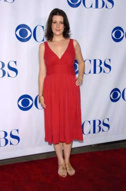 CBS'nin tca basın turu