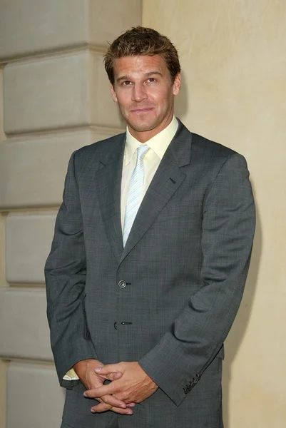 David Boreanaz — Foto Stock