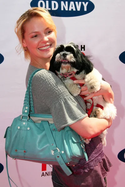 Katherine heigl op het oude Marine landelijk zoeken naar een nieuwe canine mascotte. Franklin canyon park, beverly hills, ca. 04-29-06 — Stockfoto