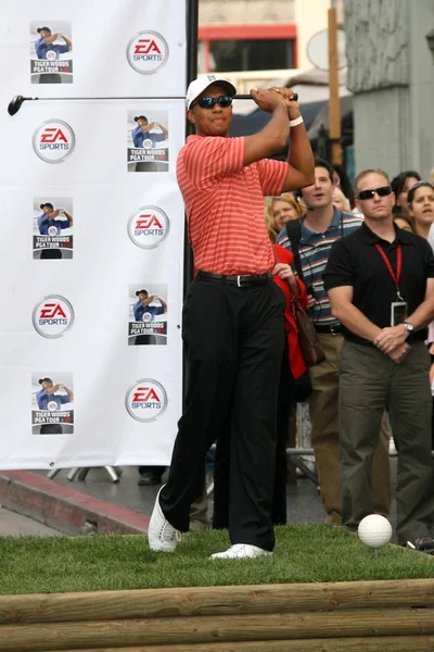 Tiger Woods — Stock Photo, Image