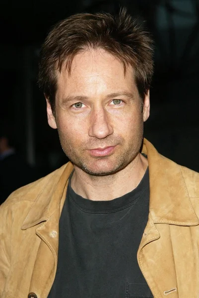 David Duchovny — Zdjęcie stockowe