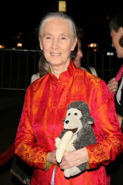 jules verne macera film festivali açılış gecesi gala