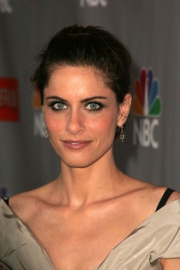 Amanda Peet