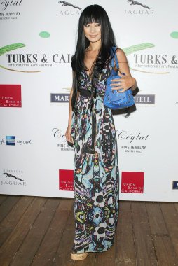 2 yıllık turks ve caicos uluslararası film festivali