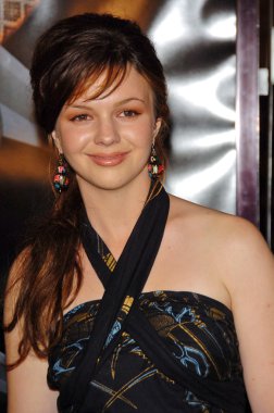 Amber Tamblyn