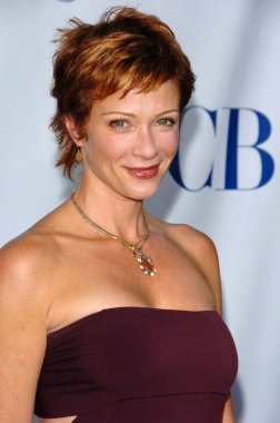 CBS'nin tca basın turu