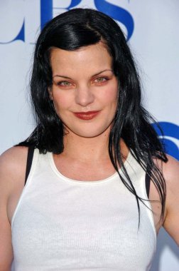 Pauley Perrette