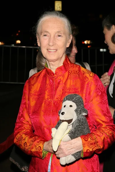 jules verne macera film festivali açılış gecesi gala