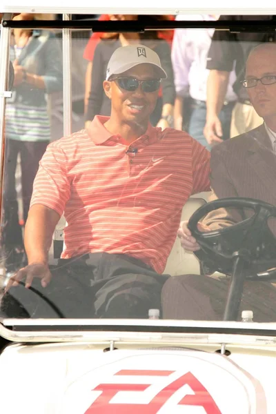 Tiger Woods — Stockfoto