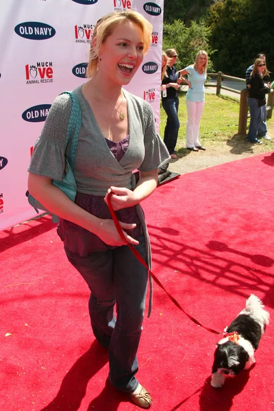 Katherine Heigl dell'Old Navy in cerca di una nuova mascotte canina. Franklin Canyon Park, Beverly Hills, CA. 04-29-06 — Foto Stock