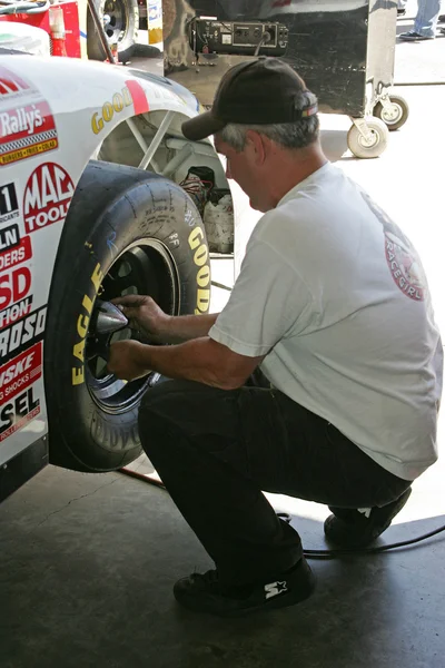 Bridgetta 텍스트는 nascar busch 시리즈에 있는 경주 소녀 — 스톡 사진