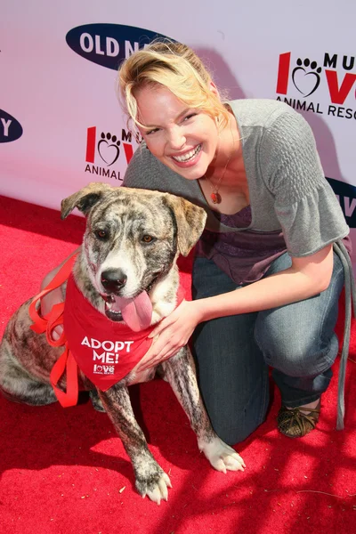 Katherine heigl w starych marynarki ogólnonarodowe poszukiwania nowej maskotki psów. Franklin canyon park, beverly hills, ca. 04-29-06 — Zdjęcie stockowe