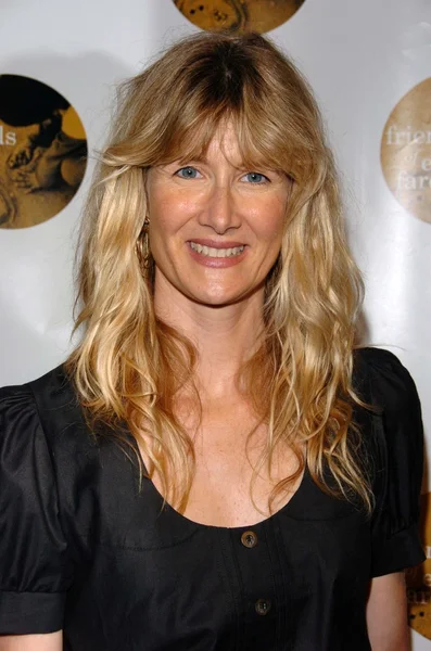 Laura Dern — Stock Photo, Image