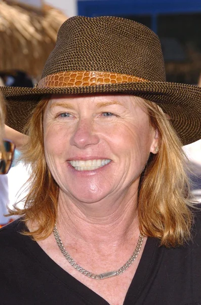 Amy Madigan — Foto Stock