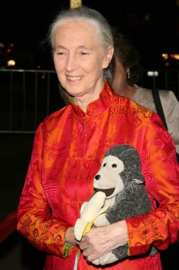 jules verne macera film festivali açılış gecesi gala