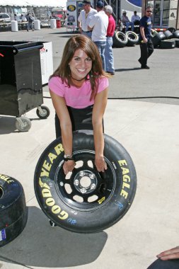 bridgetta tomarchio nascar busch serisi yarış kızdır