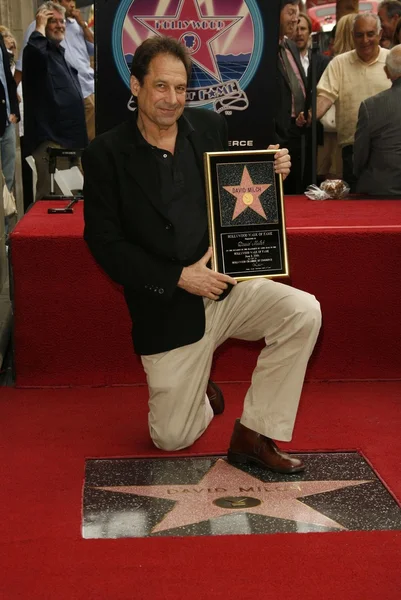 David Milch Hollywood Paseo de la Fama Ceremonia — Foto de Stock