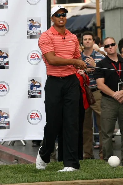 Tiger Woods – stockfoto