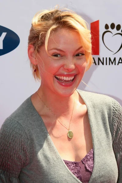 Katherine Heigl at the Old Navy Nationwide Search for a New Canine Mascot. Franklin Canyon Park, Beverly Hills, CA. 04-29-06 — Stock Photo, Image