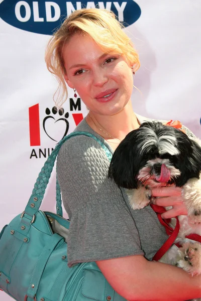 Katherine Heigl at the Old Navy Nationwide Search for a New Canine Mascot. Franklin Canyon Park, Beverly Hills, CA. 04-29-06 — Stock Photo, Image