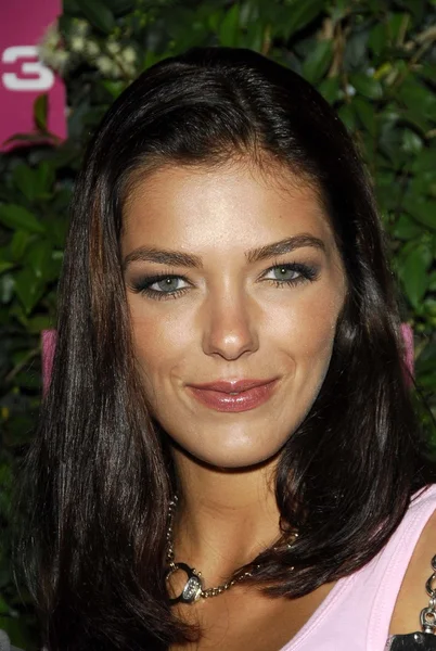 Adrianne curry på t-rörlig partner 3 lanseringsfest. Hollywood palladium, hollywood, ca. 06-20-06 — Stockfoto