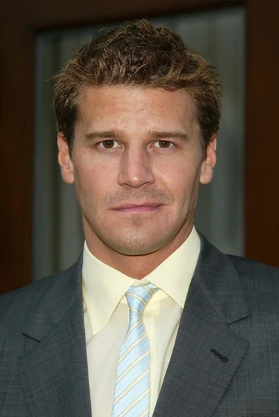 David Boreanaz — Stock Photo, Image