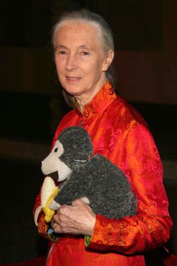 jules verne macera film festivali açılış gecesi gala