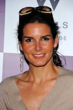 Angie harmon