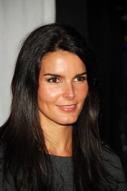 Angie harmon