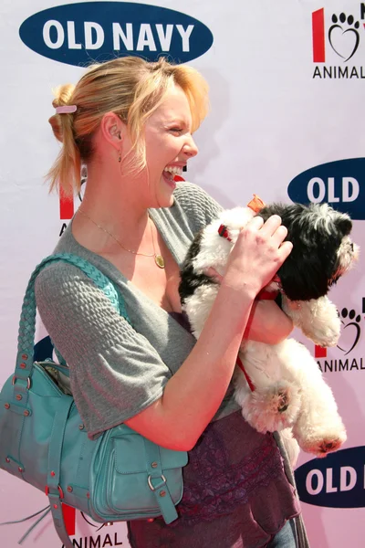 Katherine Heigl en la Old Navy Nationwide Search for a New Canine Mascot. Franklin Canyon Park, Beverly Hills, CA. 04-29-06 —  Fotos de Stock