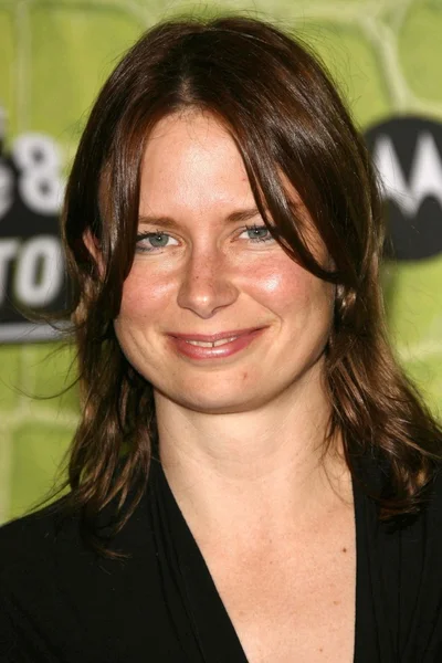 Mary lynn rajskub — Zdjęcie stockowe