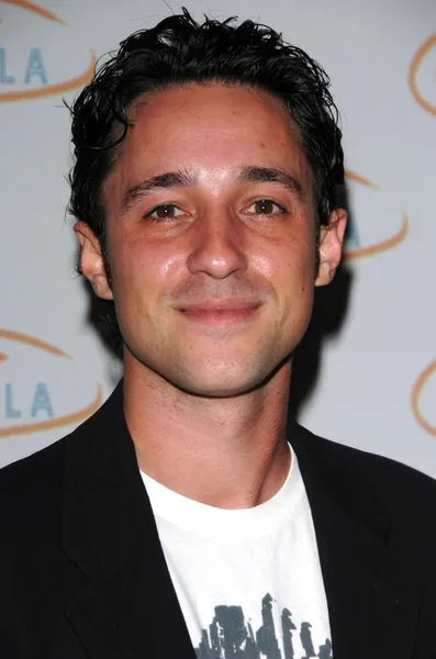 Thomas Ian Nicholas — Stock fotografie