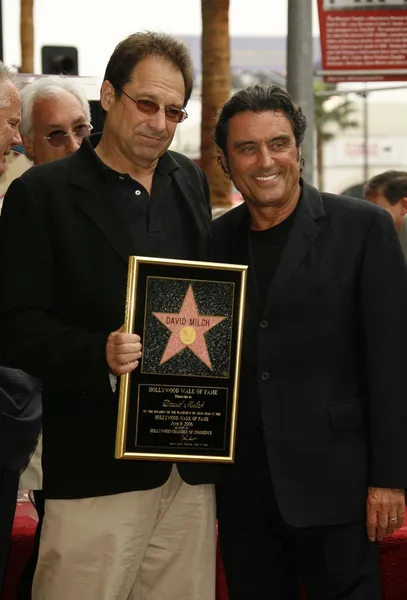 David milch hollywood walk of fame töreni — Stok fotoğraf