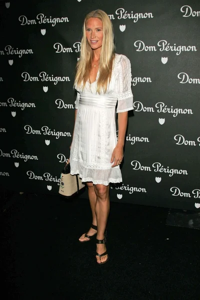 Kelly Lynch at the Dom Perignon Rose Vintage 1996 Champagne New Image Launch Party. Private Residence, Beverly Hills, CA. 06-02-06 — Stock Photo, Image