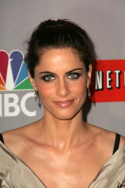 Amanda Peet — Stock Photo, Image