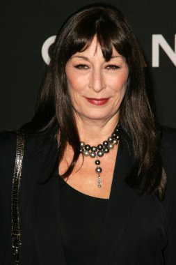 Anjelica Huston