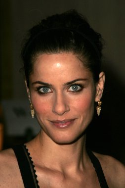 Amanda Peet