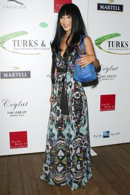 2 yıllık turks ve caicos uluslararası film festivali