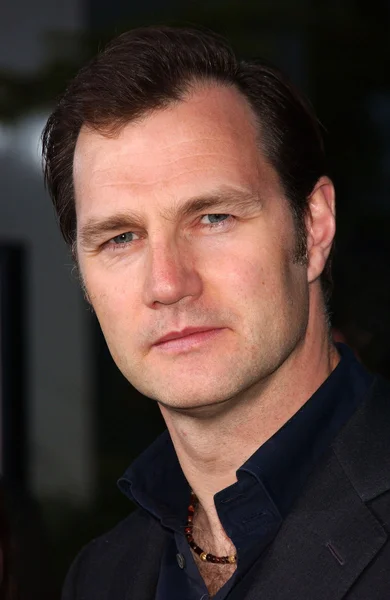 David Morrissey. — Fotografia de Stock